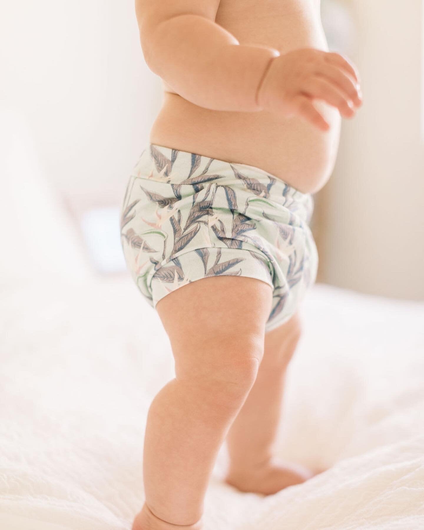 Dreamy Birds of Paradise Bummies